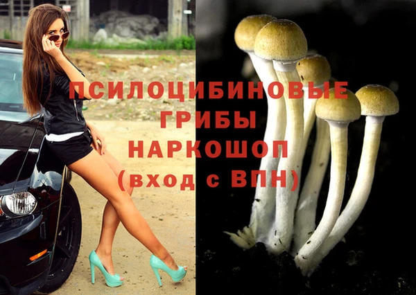 jwh Новокубанск