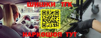 кокс Кингисепп