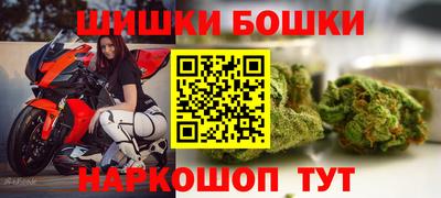 кокс Кингисепп