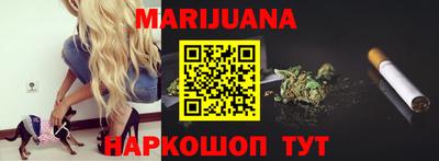кокс Кингисепп