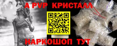 кокс Кингисепп