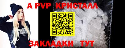 кокс Кингисепп
