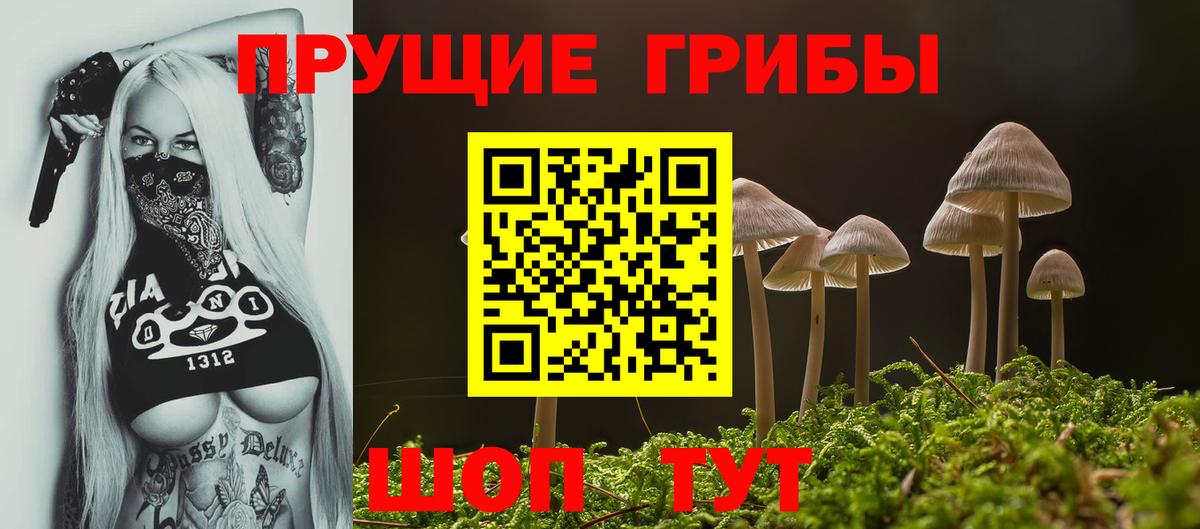 Галлюциногенные грибы мухоморы Узловая