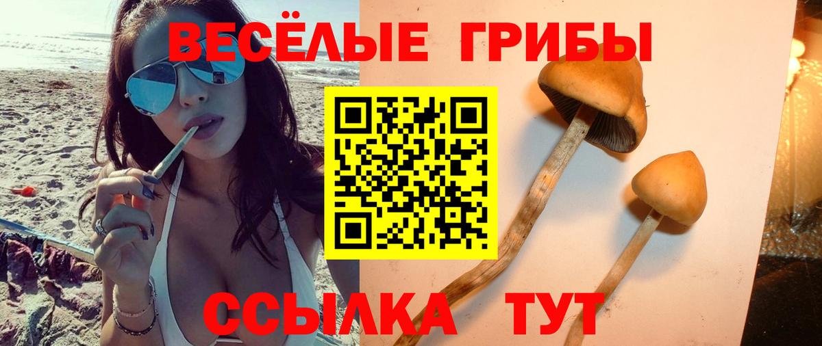 Узловая  Галлюциногенные грибы прущие грибы  Псилоцибиновые грибы Magic Shrooms  Вход с VPN 