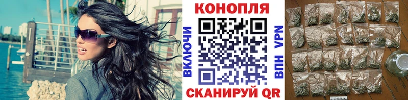 закладки  Узловая  Канабис White Widow 